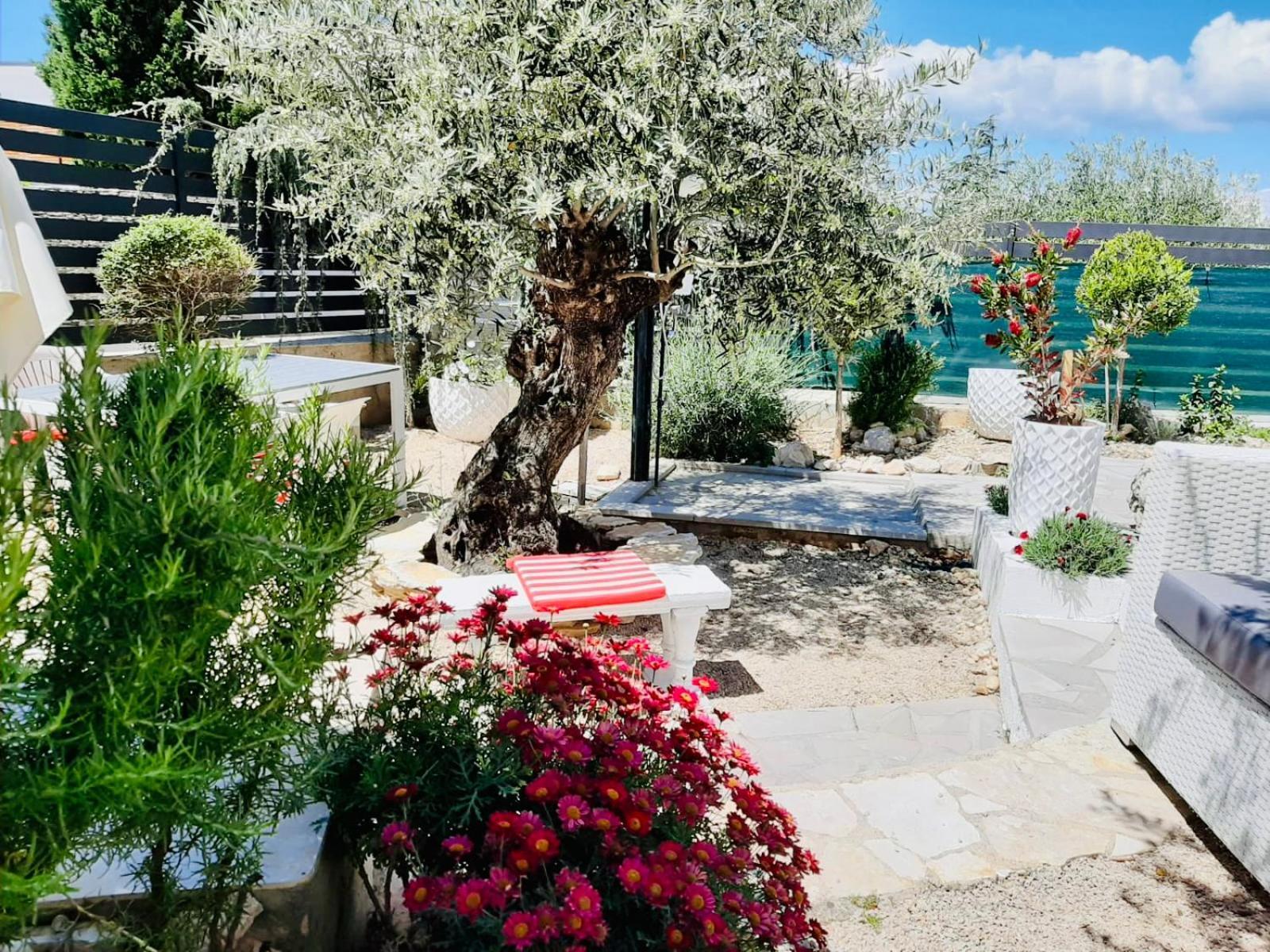 Villa Evamar, Island Krk פונאנט מראה חיצוני תמונה